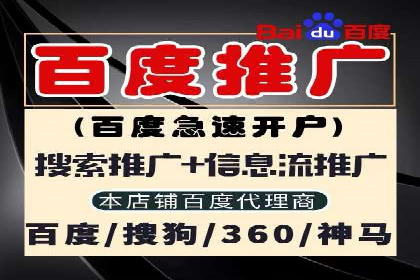 探索百度竞价排名的奥秘：某企业的成功之路